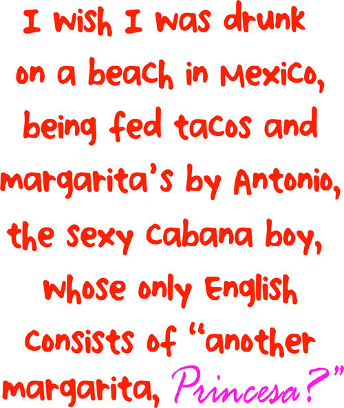 I wish I was drunk on a beach in Mexico, being fed taco’s and maragrita’s by Antoni, the sexy cabana boy, whose only English consists of "another margarita, "Princesa?