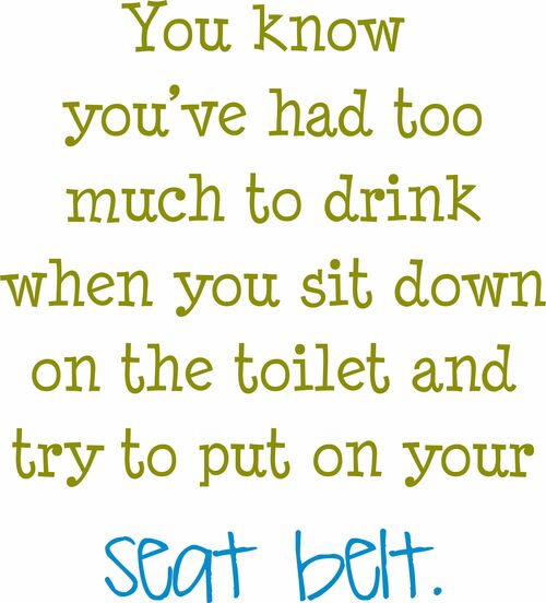 You know you've had too much to drink when you sit down on the toilet and try to put on your seat belt.