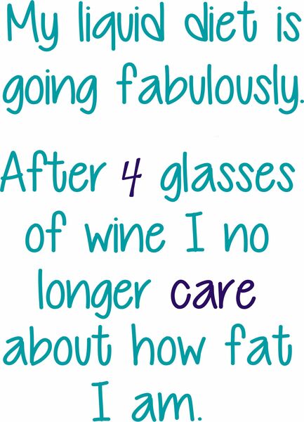 My liquid diet is going fabulously. After 4 glasses of wine I no longer care about how fat I am.