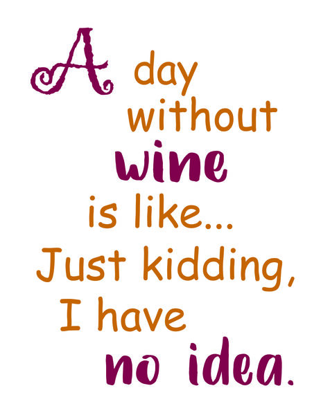 A day without wine is like...?Just kidding, I have no idea.