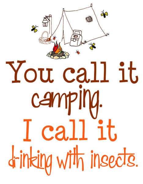 You call it camping. I call it drinking with insects.