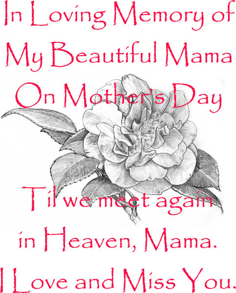 In Loving Memory of my beautiful Mama on Mothers Day. Til we meet again in Heaven, Mama. I love and