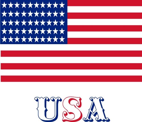 Flag with USA