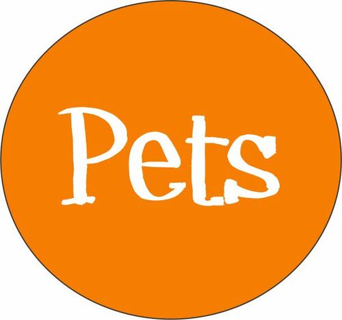 2 each of the Top 12 Best Pet Sellers 24 Total Pieces