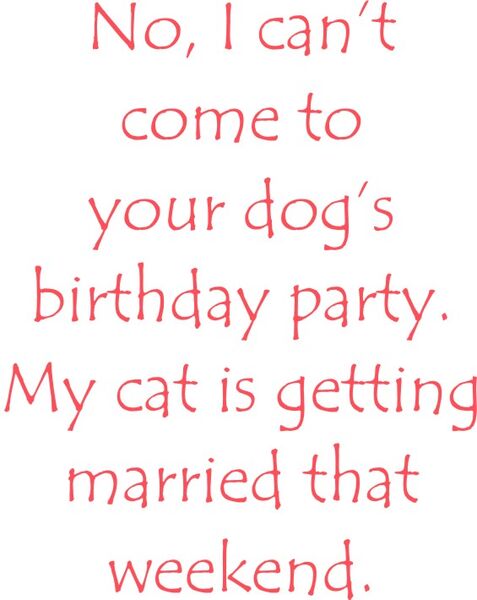 No, I can't make it to your dog's birthday party. My cat is getting married that weekend.