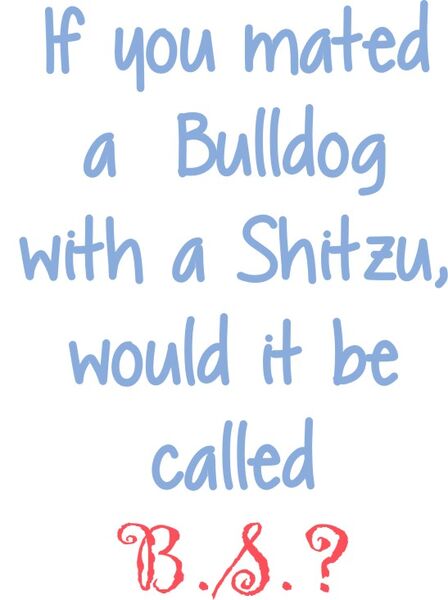 If you mated a Bulldog with a Shitzu, would it be called B.S.?