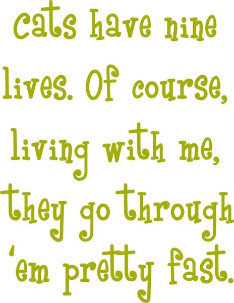 Cats have nine lives. Of course living with me ,they go through ’em pretty fast.