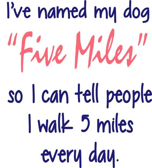 I’ve named my dog "Five Miles" so I can tell people I walk 5 miles every day.