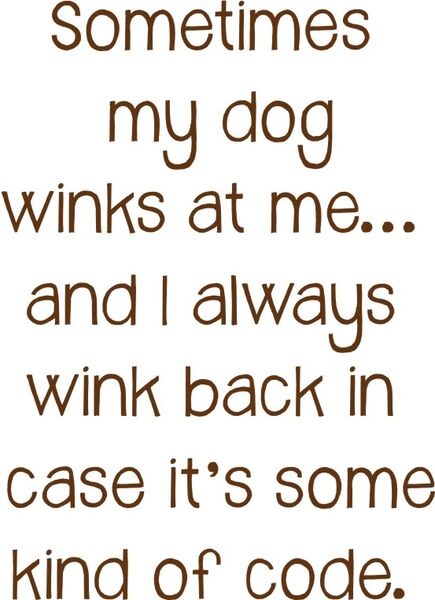 Sometimes my dog winks at me?and I always wink back in case it’s some kind of code.