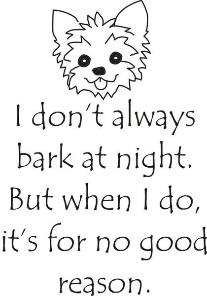 I don’t always bark at night. But whan I do, it’s for no reason.