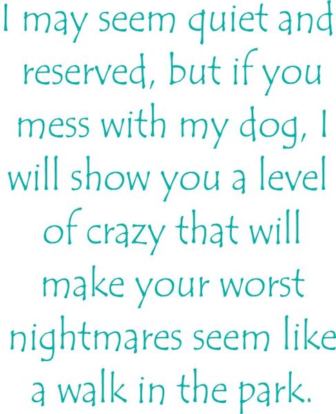 I may seem quiet and reserved. But if you mess with my dog, I will show you a levelof crazy that will make your worst nightmares seem like a walk in the park.