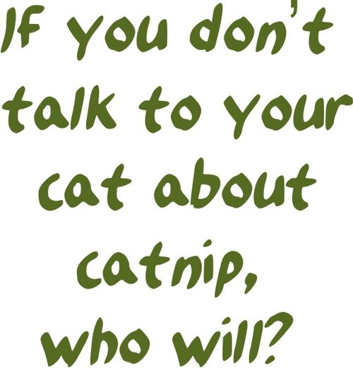 If you don’t talk to your cat about catnip,Who Will??