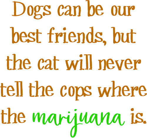 Dogs can be our best friends,but cats will never tell the cops where the maijuana is.