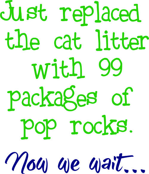 Just replaced the cat litter with 99 packages of pop rocks. Now we wait. . .