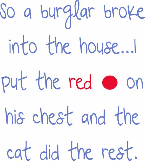 So a burglar broke into the house?I put the red dot on his chest and the cat did the rest.