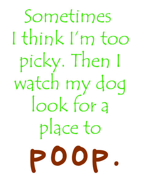 Sometimes I think I am too picky. Then I wach my dog look for a place to poop.