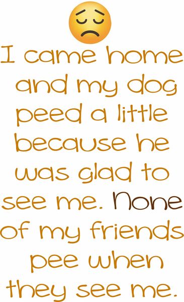 I came home and my dog peed a little because he was glad to see me. None of my friends pee when they see me.