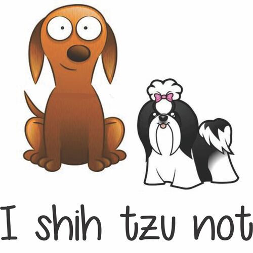 I shih tzu not