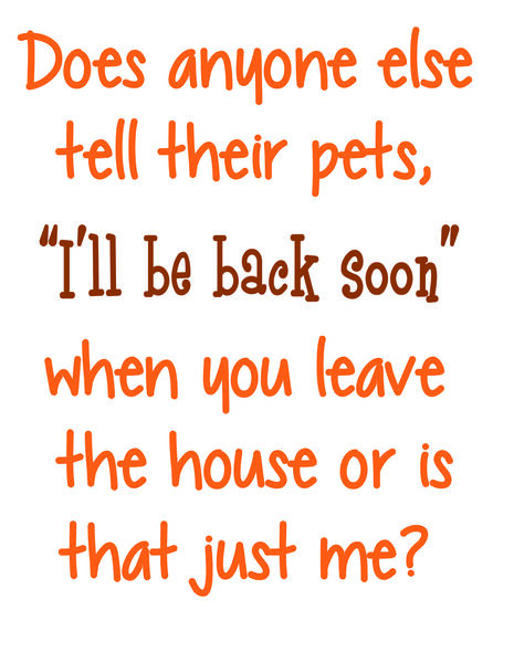 Does anyone else tell their pets, "I'll be back soon" when they leave the house or is it just me?