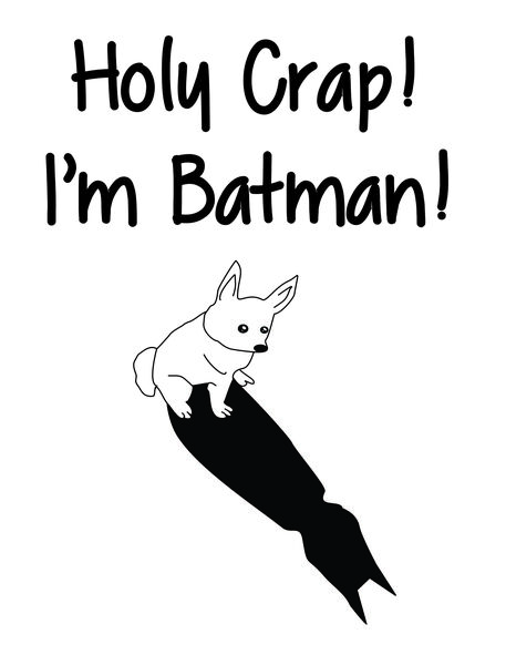 Holy Crap! I'm Batman!