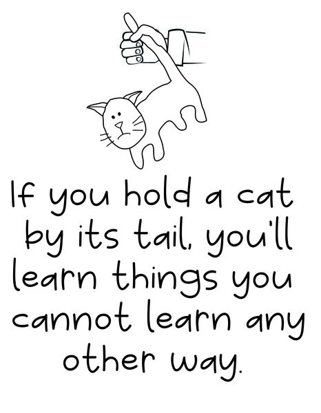 If you hold a cat by its tail, you;ll learn things you cannot learn any other way.