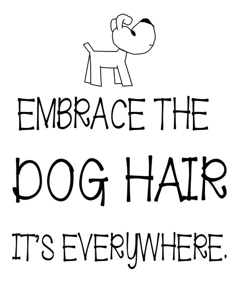 Embrace the dog hair, it's everywhere!