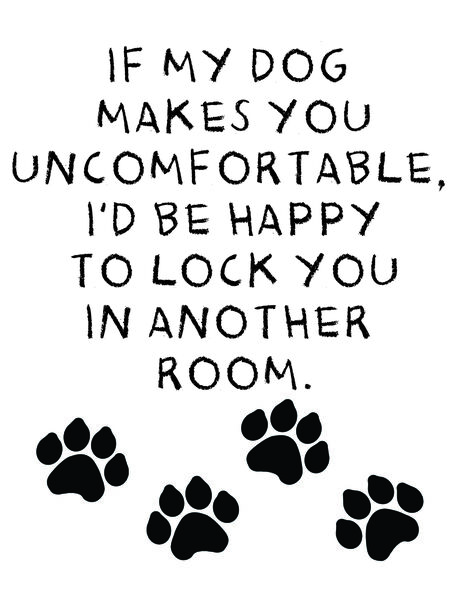 If my dog makes you uncomfortable, I'd be happy to lock you in another room.