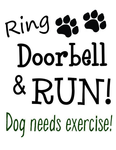 Ring Doorbell & Run! Dog needs exercise!