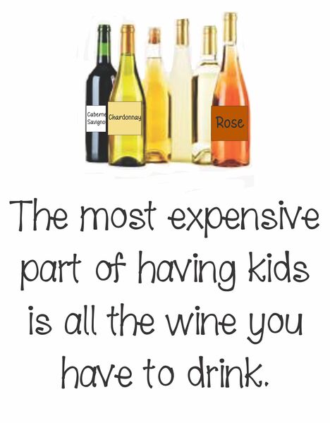 The most expensive part of having kids is all the wine you have to drink.