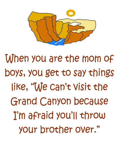 When tyou are the mom of boys, you get to say things like,"We can't visit the Grand Canyon because I'm afraid you'll throw your brother over.