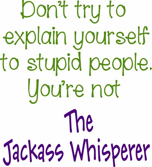 Don't try to explain yourself to stupid people. You're not The Jackass Whisperer.