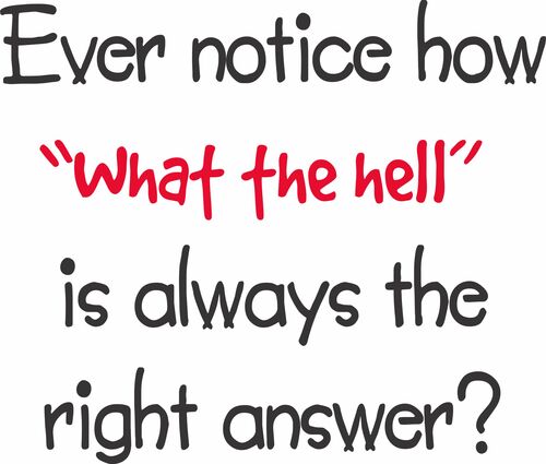 Ever notice how "what the hell" is always the right answer?