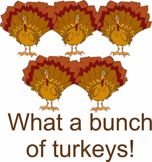 What a abunch of turkeys!