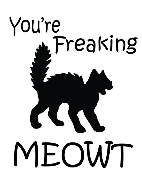 You're freaking meowt