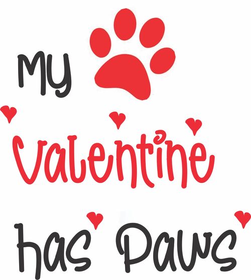 My Valentine has paws.