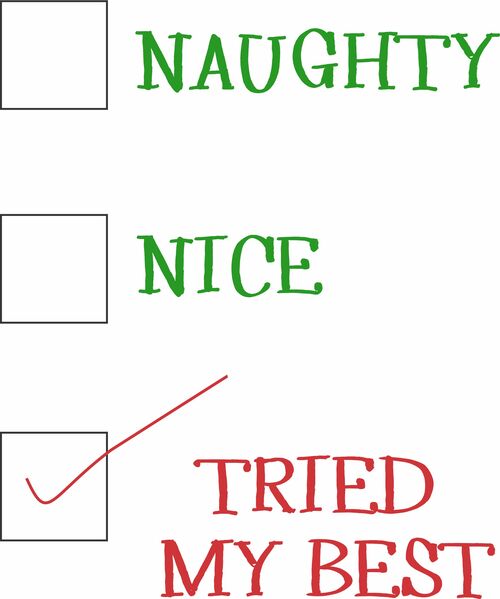 Naughty, Nice, Tried My Best