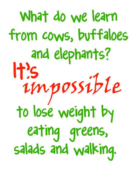 What do we learn from cows, buffaloes and elephants? It's impossible to lose weight by eating green salads and walking.