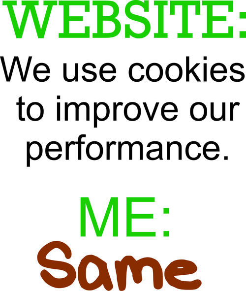 WEBSITE: We use cookies to improve our performance. ME: Same