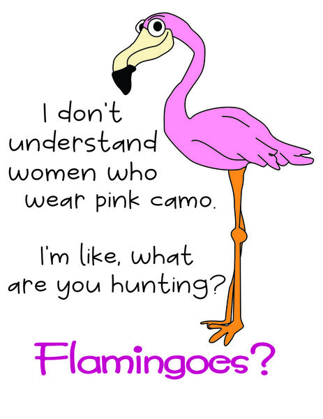 I don't understand women who wear pink camo. I'm like, what are you hunting? Flamingoes?