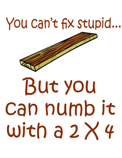 You can't fix stupid, but you can numb it with a 2 X 4.