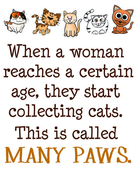 When a woman reaches a certain age, they start collecting cats. This is called Many Paws.