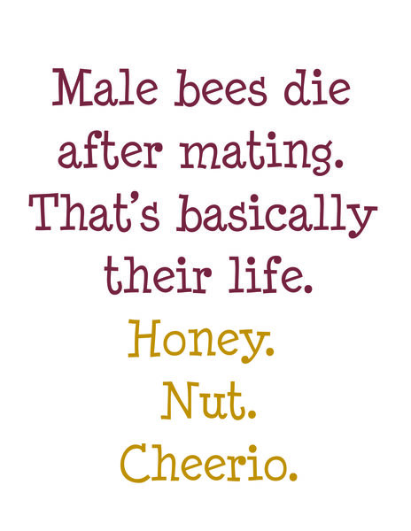 Male bees die after mating. That's basically their life. Honey. Nut. Cheerio.