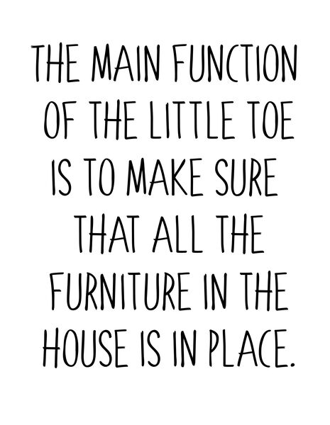 The main function of the little toe is to make sure that all the furniture in the house is in place.