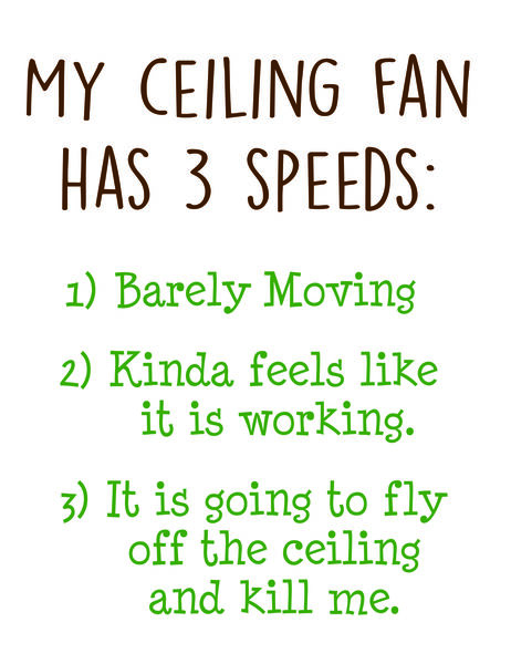 My ceiling fan has three speeds: 1) Barel Movig 2) Kinda feels like it's working 3) It's gonna fly off the ceiling and kill someone.