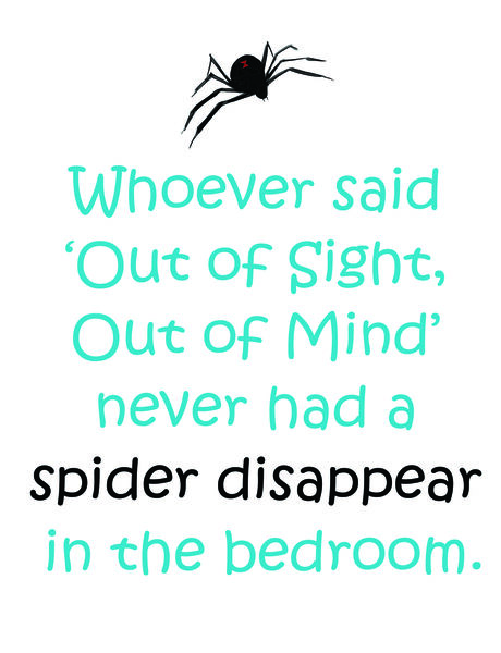 Whoever said 'Out of Sight Out of Mind' never had a spider disappear in the bedroom.