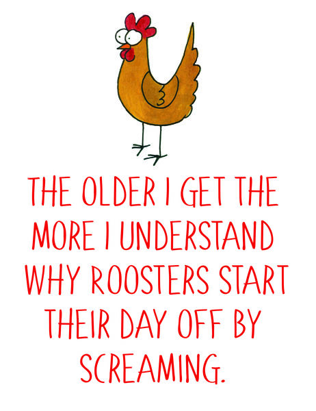 The older I get, the more I understand why Roosters start their day off by screaming.