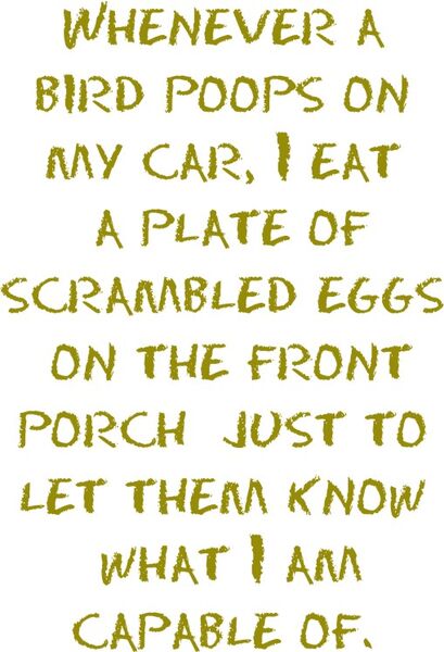 Whenever a bird poops on my car, I eat a plate of scrambled eggs on the front porch just to show them what I am capable of.