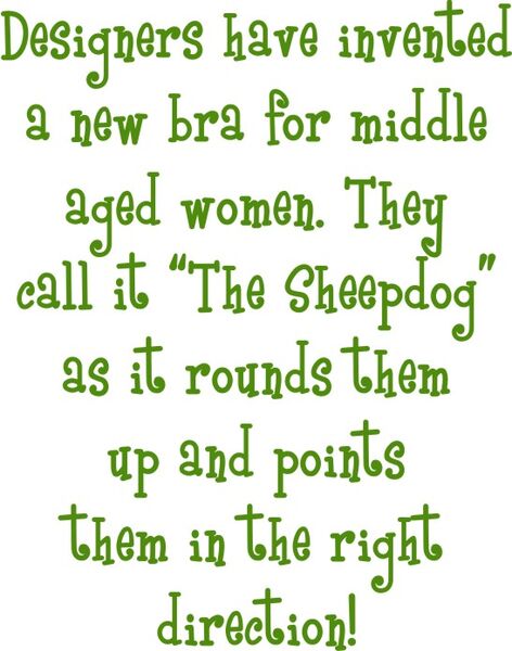 Designers have invented a new bra for middle aged woman. They call it "The Sheepdog" as it rounds them up and points them in the right direction!