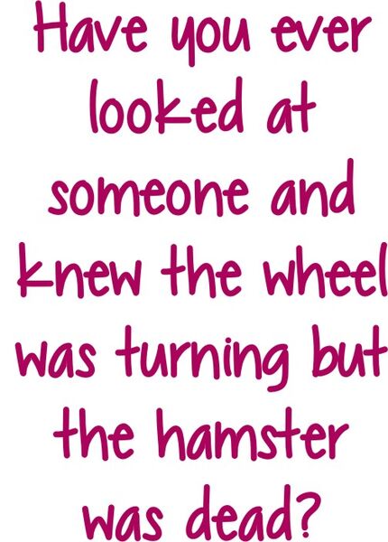 Have you ever looked at someone and knew the whell was turning but the hamster was dead?