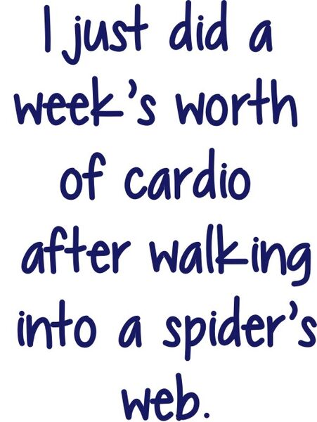 I just did a week’s worth of cardio after walking into a spider web.